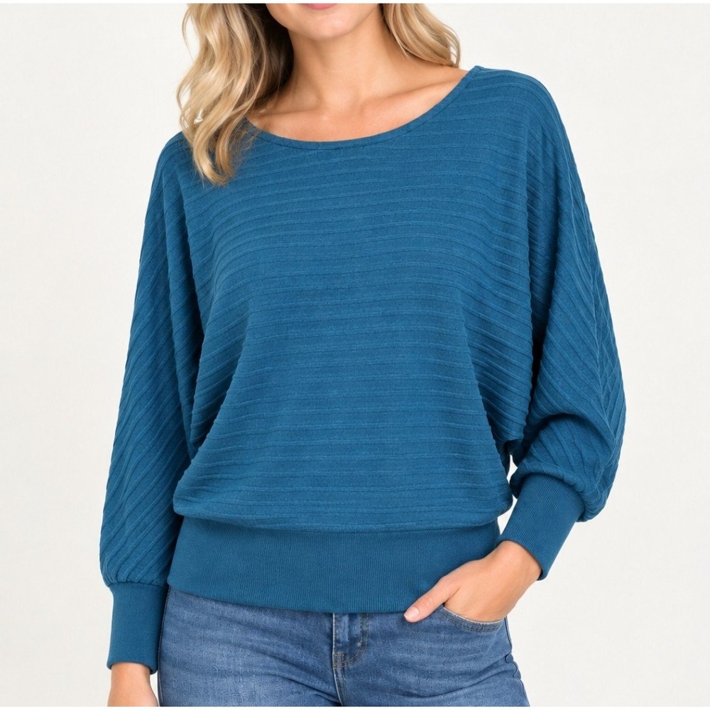 Anthropologie Saturday Sunday Shawna Hacci Sweater Women XS Blue NWT Batwing